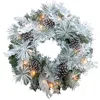Fraser Farm Hill 24" Mixed Pine/pinecone Snowy Wreath, Bo Led Lights/timer In Multi