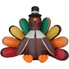 Fraser Farm Hill 8ft Inflatable Turkey With Lights In Multi