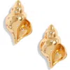 Frasier Sterling Anguilla Shell Earrings
