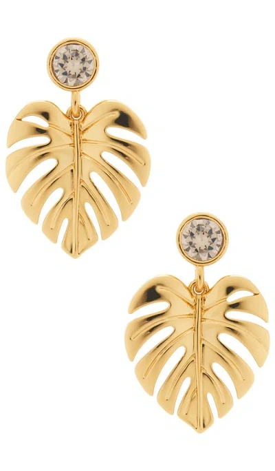 Frasier Sterling Beverly Earrings In Orange