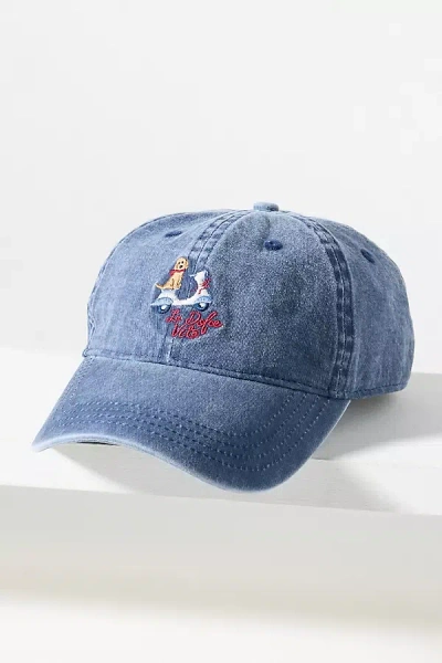 Frasier Sterling Dog Baseball Cap In Brown