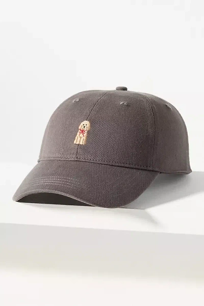 Frasier Sterling Dog Icon Baseball Cap In Brown