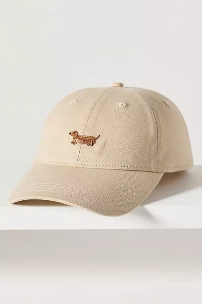 Frasier Sterling Hot Dog Pup Baseball Cap In Brown