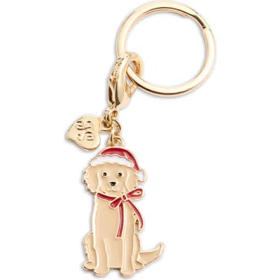 Frasier Sterling Santa Pup Collar Charm In Multi