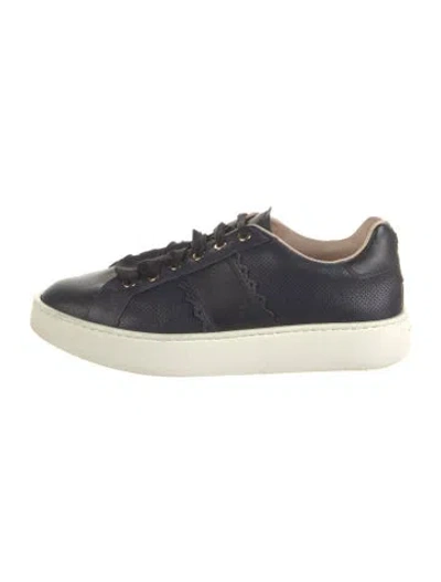 Pre-owned Fratelli Rossetti Leather Sneakers In Blue