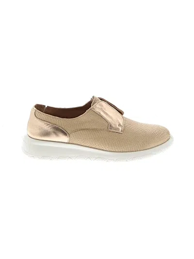 Pre-owned Fratelli Rossetti Sneakers In Tan