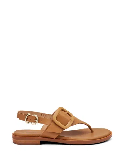 Frau Buckle-detail Thong Sandals In Brown