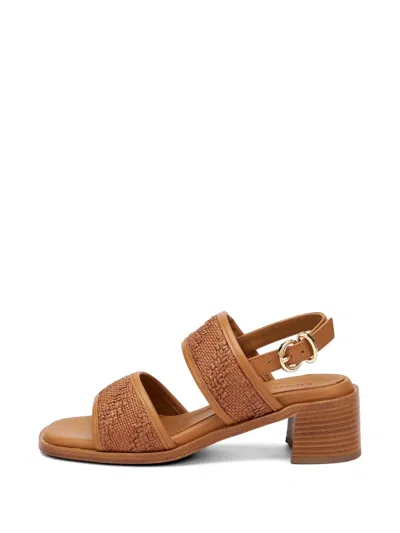 Frau Buckle-strap Sandals In Brown