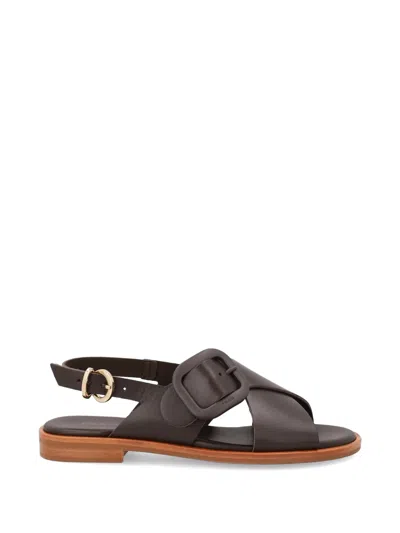 Frau Crossover-strap Buckled Sandals In Brown