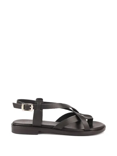 Frau Leather Thong Sandals In Black