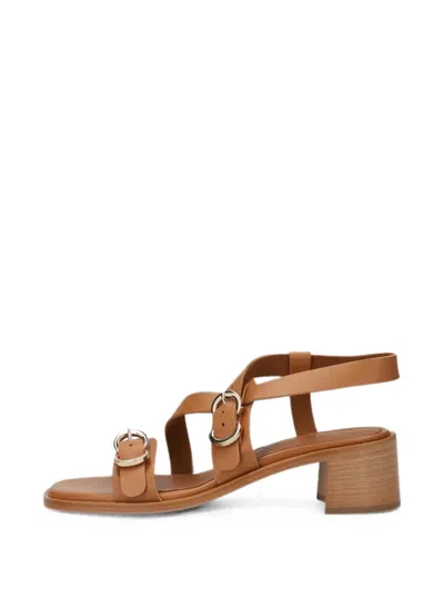 Frau Multi-strap Leather Sandals In Brown