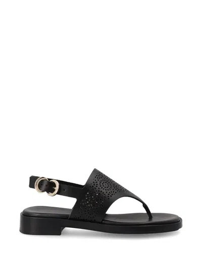 Frau Perforated Leather Sandals In Black