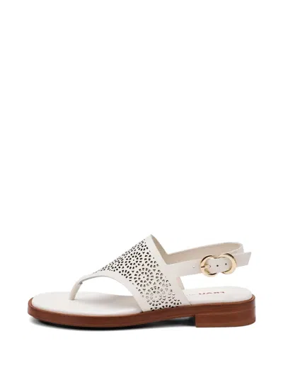 Frau Perforated Sandals In White