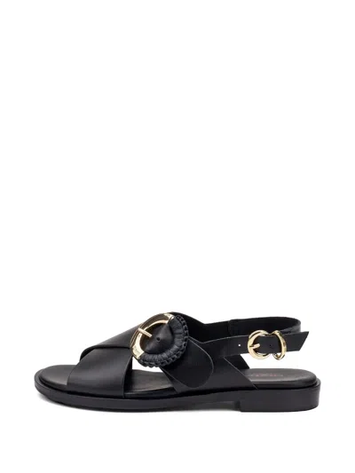 Frau Raffia-weave Buckle Leather Sandals In Black