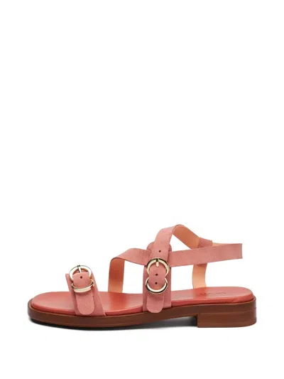 Frau Suede Multi-strap Sandals In Red