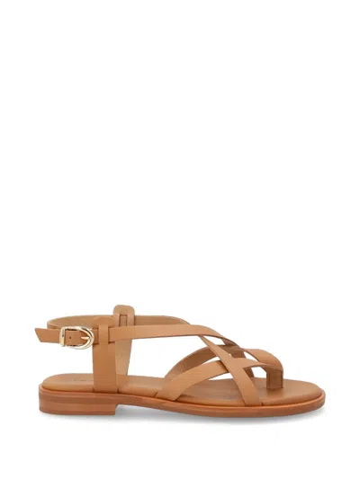 Frau Woven-strap Thong Sandals In Brown