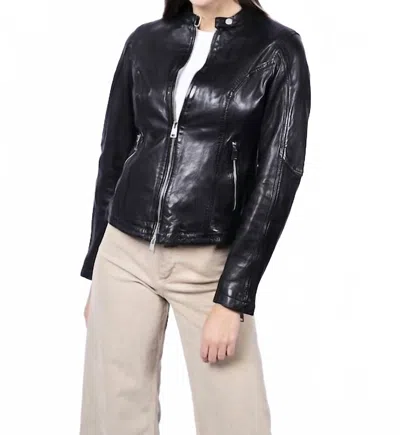 Freaky Nation Tula Jacket In Black