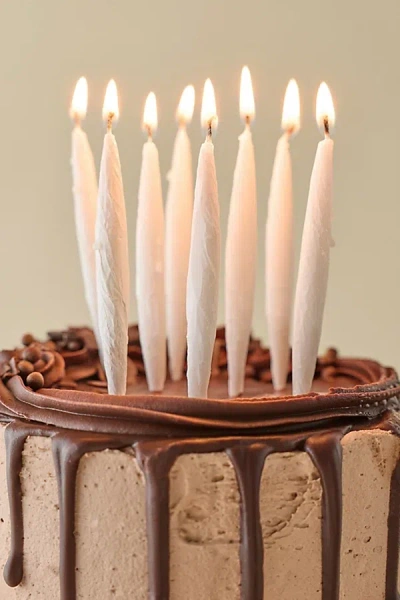 Fred & Friends Lit Party Candle Set In White At Urban Outfitters In Burgundy