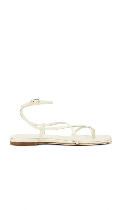 Freda Salvador Alexia Sandal In Bone Calf