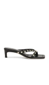 Freda Salvador Elaine Sandal In Black With Gold Studs