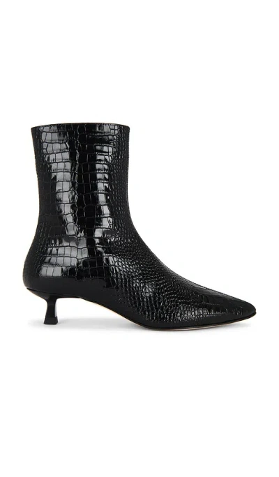 Freda Salvador Boot Lanna In Black