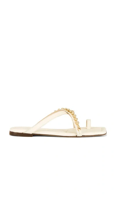 Freda Salvador Marilyn Flat