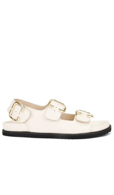 Freda Salvador Piper Sandal In Bone Calf