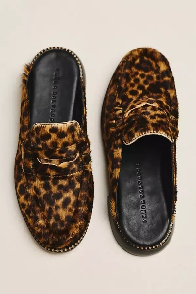 Freda Salvador Temi Leather Loafers In Brown