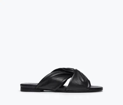 Freda Salvador Women's Carlota Sandal In Black