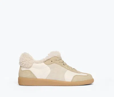 Freda Salvador Women's Jackie Court Sneaker In Stucco Suede In Black