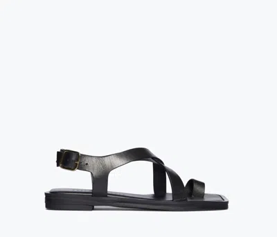 Freda Salvador Women's Paxton Sandals In Black Leather