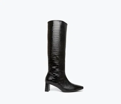 Freda Salvador Women's Phoenix Boots In Black