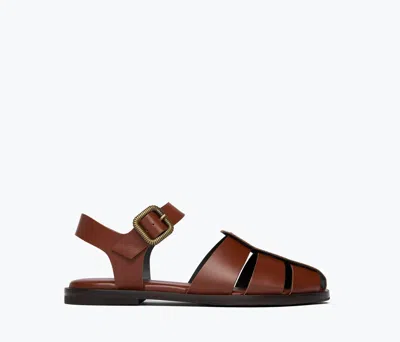 Freda Salvador Women's Sera Fisherman Sandal In Chocolate In Brown