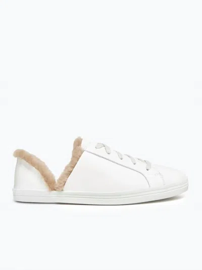 Freda Salvador Women's Shearling Sneaker In White Calf