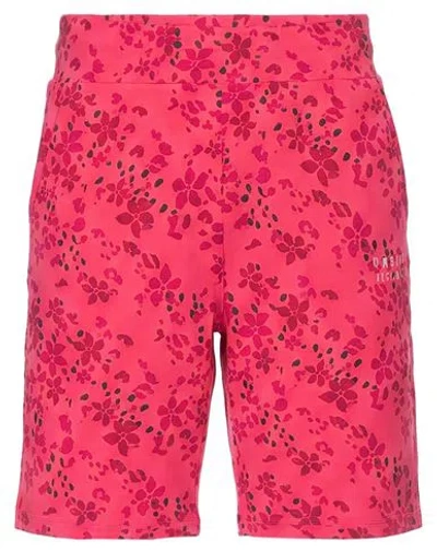 Freddy Woman Shorts & Bermuda Shorts Fuchsia Size Xl Cotton, Elastane In Pink