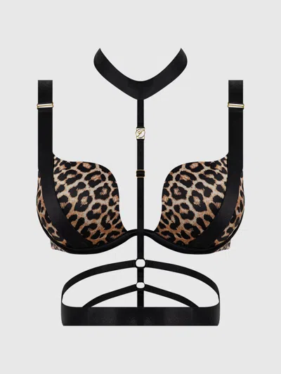 Frederick's Of Hollywood Rising Star Plunge Push Up Bustier In Petra Satin In Black
