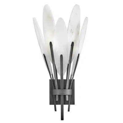 Fredrick Ramond Nerine Steel Wallchiere In Brushed Graphite