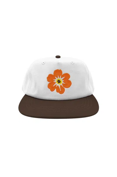 Free And Easy Island Flower Two Tone Snapback Hat In Bone/brown