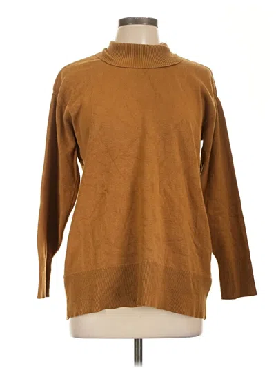 Pre-owned Free Assembly Turtleneck Sweater In Brown