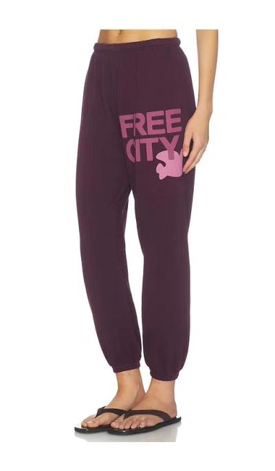Free City Large Sweatpant In 벤돌