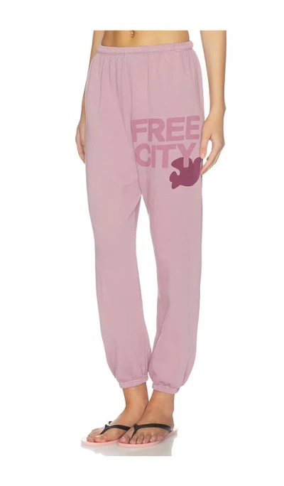 Free City Large Sweatpant In Blush