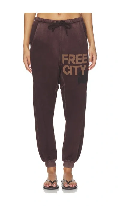 Free City Sunfades Pocket Sweatpant In Chocolate Rabbit