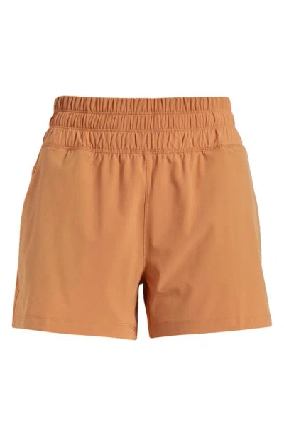 Free Fly Breeze Shorts In Sand Dune