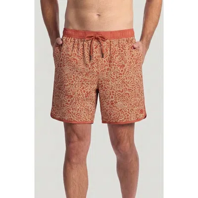 Free Fly Downshore Swim Trunks In Brown
