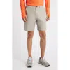 Free Fly Tradewind Shorts In Brown