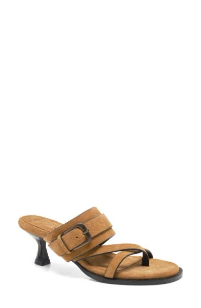 Free People Belted Toe Loop Sandal In Brown