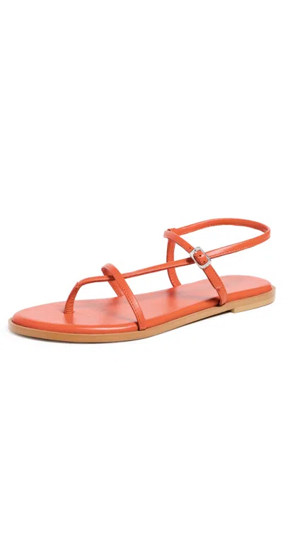 Free People Corsica Strappy Sandals Vermillion In Orange