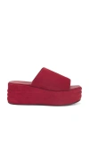Free People Harbor Platform Sandal In Cherry