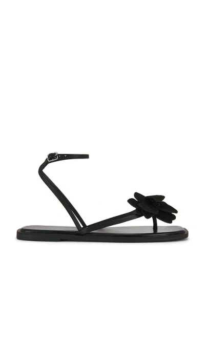 Free People Mismatch Magnolia Sandal In Multi