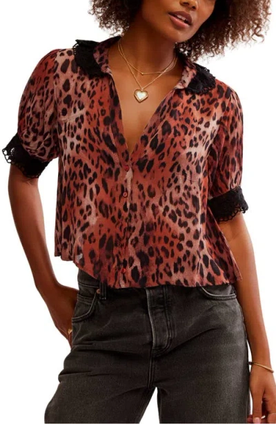 Free People My Love Lace Trim Button-up Crop Top In Leopard Combo